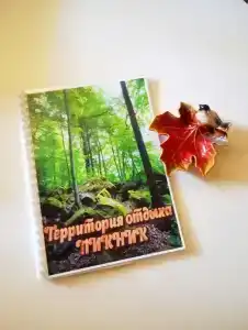 Пикник - 60