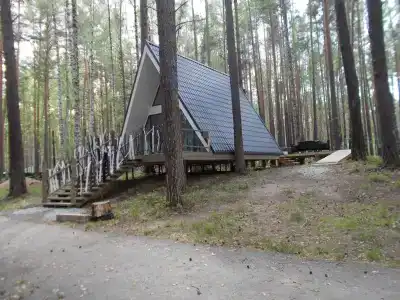 Дом в лесу на берегу озера - 6