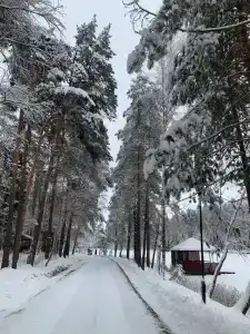 Бисерово - 26
