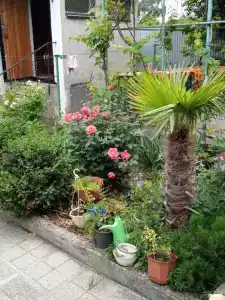 Квартиры на Алупкинском 2Г - 99