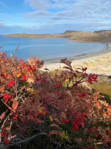 Гостевой дом - 152