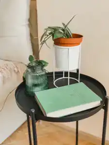 Есенин Окский - 12