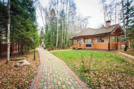 Дикий Лис - 31