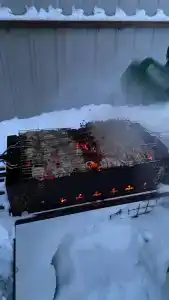 Коди Ярви - 98