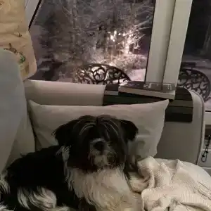 Дом с баней и чаном у леса - 122