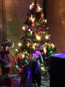 Царское село - 32