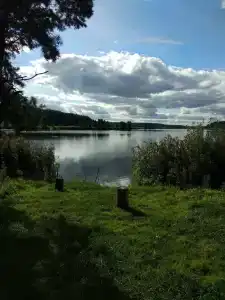 Усадьба Green Yard в Беловежской пуще - 10