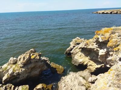 Ракушка Казантипа - 51