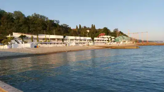 Бамбучок - 17