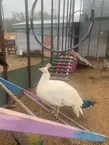 Летний бриз - 41