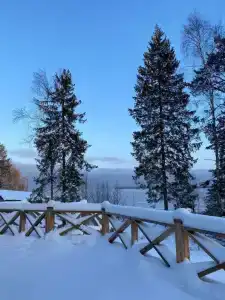Лесной берег - 4