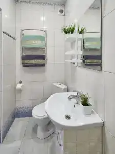 Уютный домик в тихом зелёном районе - 10