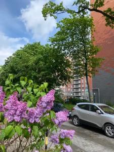 Квартиры на Гагарина 11 - 63