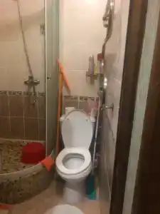 Багира - 3