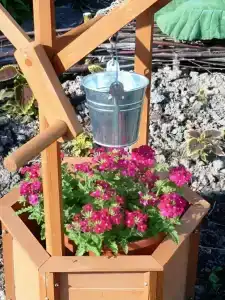 Хутор белой козы - 5