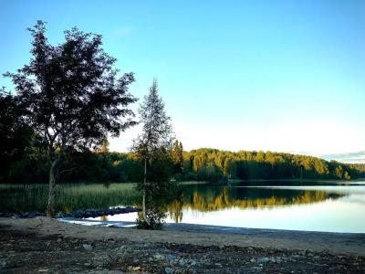 Прозрачный берег - 15