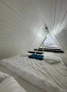 Аквариум - 63