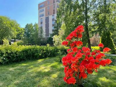 Море и Солнце - 12