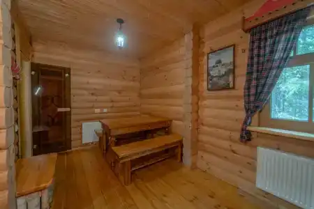Шишки на Лампушке - 41