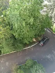 Квартиры на Губина 20 - 58