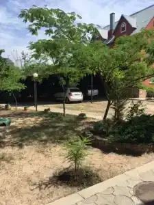 Пансионат Кипарис - 5