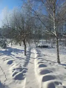 Уютный домик для отдыха - 33