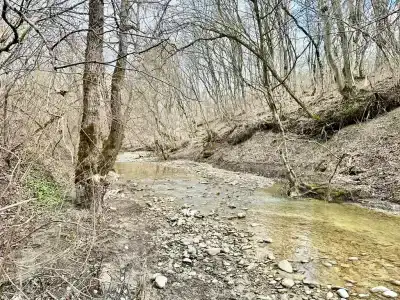 Серёжкино - 94