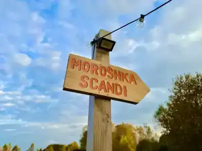 Морошка Сканди - 15