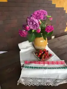 Царское село - 15