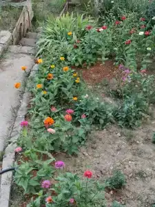 Андалусия - 140