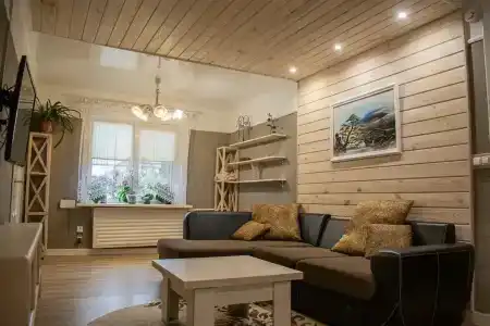 Боровики - 33