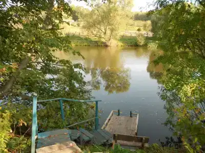 Гостевой домик в Ясной Поляне - 11