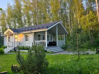 Белый лес - 1