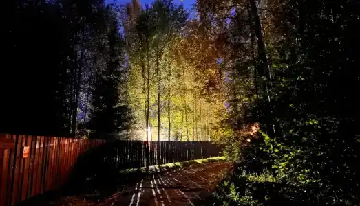 Балдейкино - 71