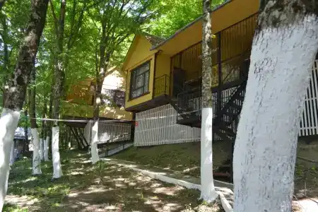 Аммонит - СевКавТисиз - 24