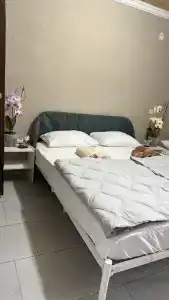 Орхидея - 100