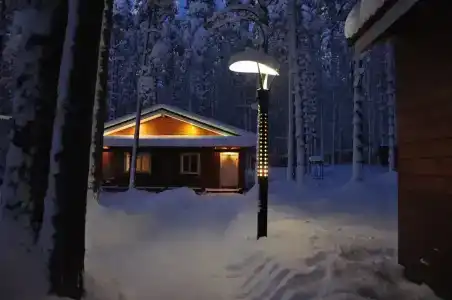 Коттедж из бруса в сосновом лесу - 10
