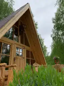 Шале в Рогозинино - 0