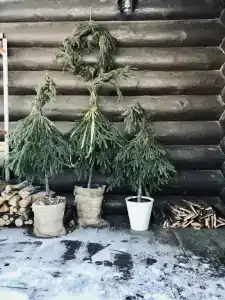 Уютный семейный дом у озера - 54