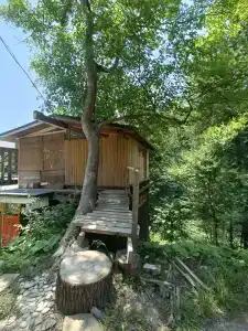 Оpёл и Цaпля - 23