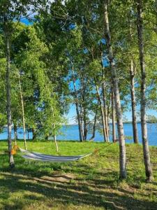 Прозрачный берег - 25