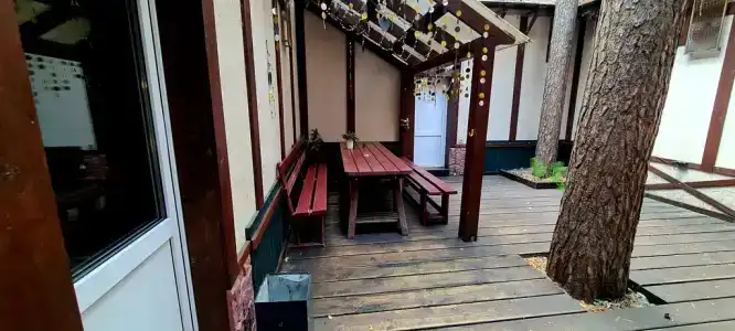 Барские сосны - 3