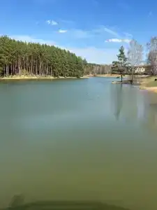 Капитан - 157