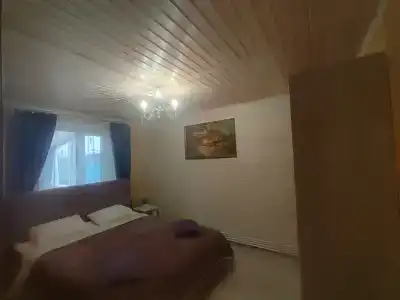 Эдельвейс - 5