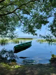 Дом у озера - 39