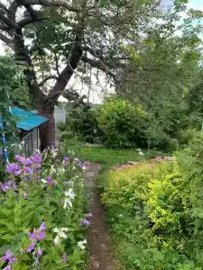 Частный дом для туристов - 6