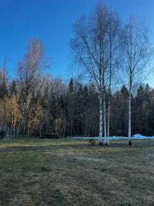 Цветочный домик с камином - 6