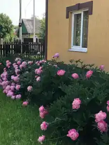 Царское село - 6