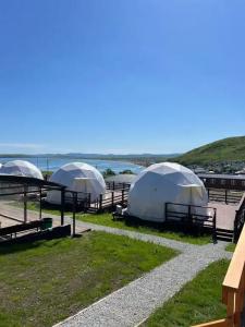 Аквариум - 98