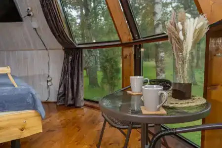 Гнездовье - 64